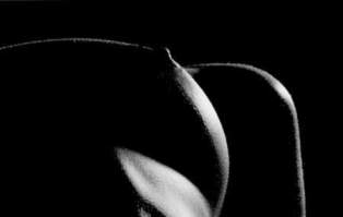 Свинг вечеринки